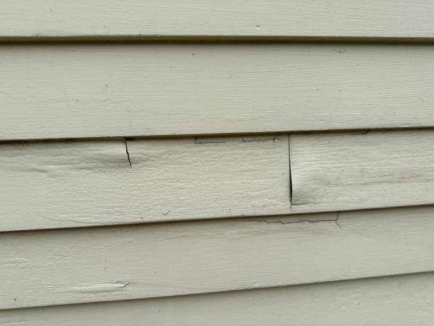 Best Insulated Siding Installation  in Potomac Heights, MD